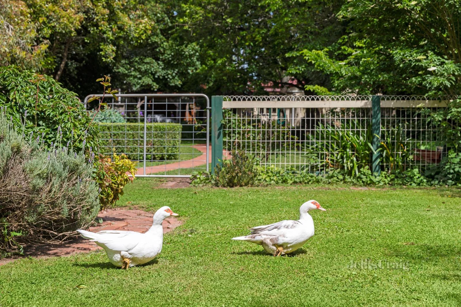 Additional image 15 of 154 Main Street, Romsey VIC 3434