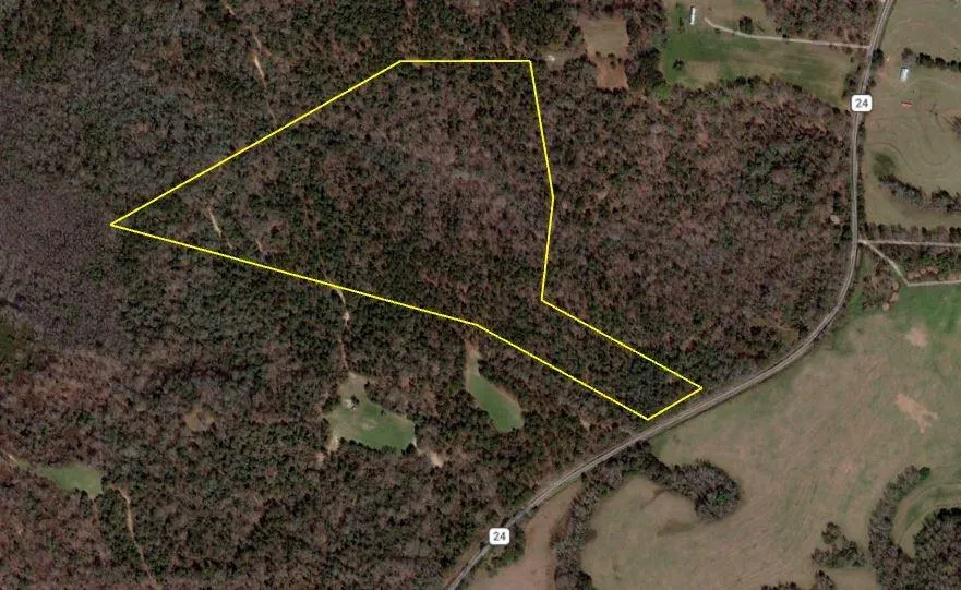 Additional image 10 of Lot 2 Macon County Road 24, Auburn, AL 36830