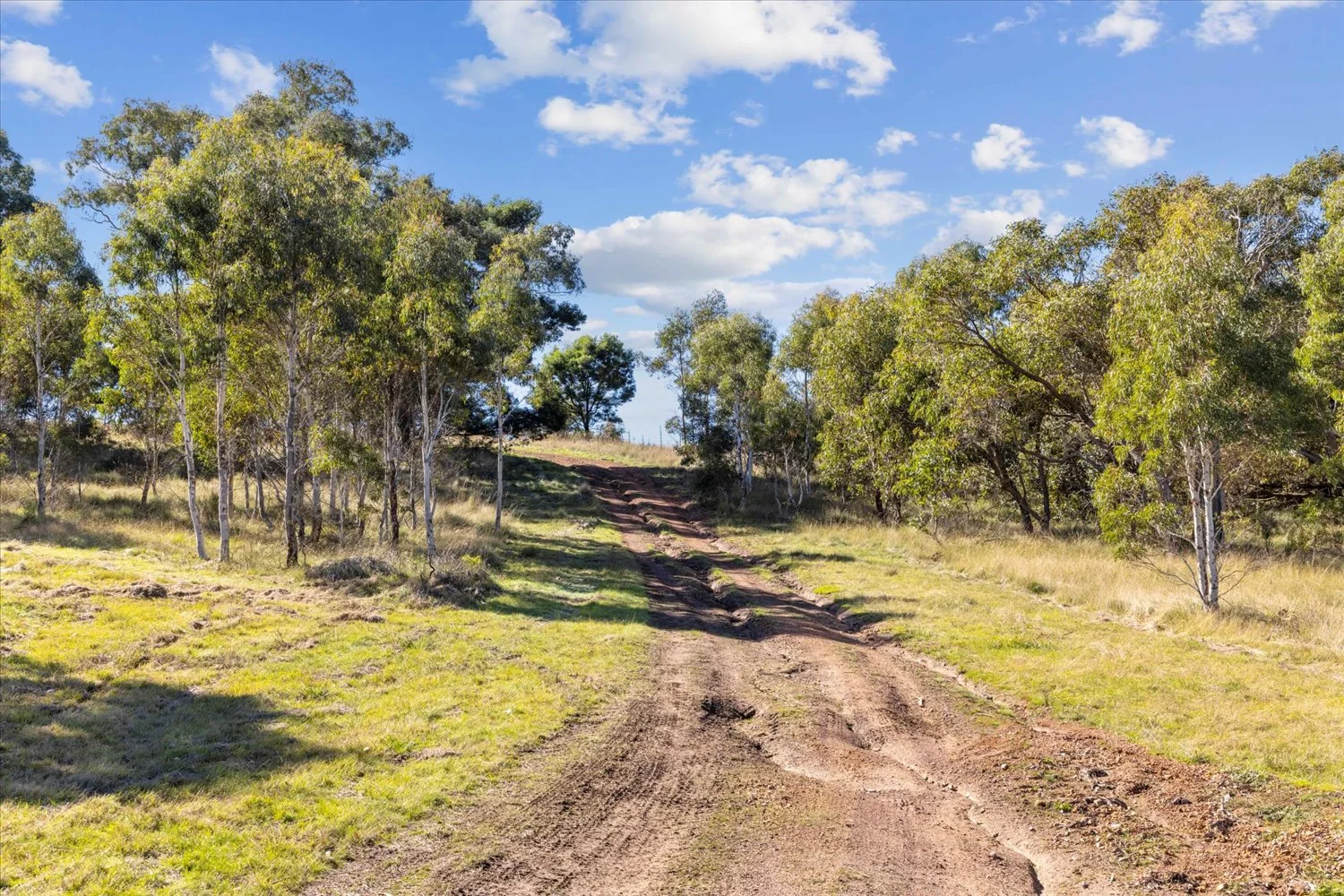 Additional image 22 of 134 Lakeview Road, Tarago NSW 2580