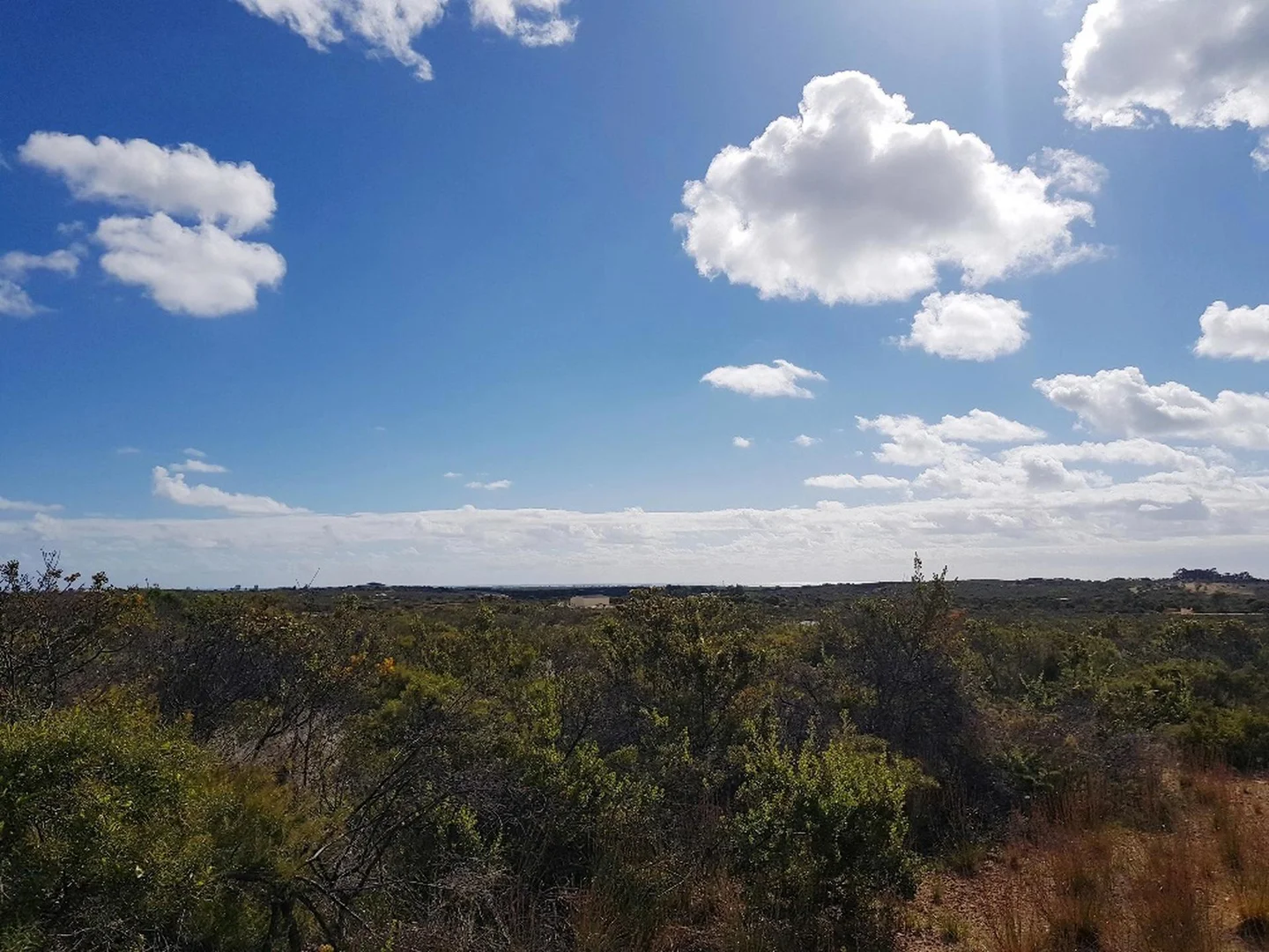 Additional image 5 of 277 PREMIER Drive, Jurien Bay WA 6516