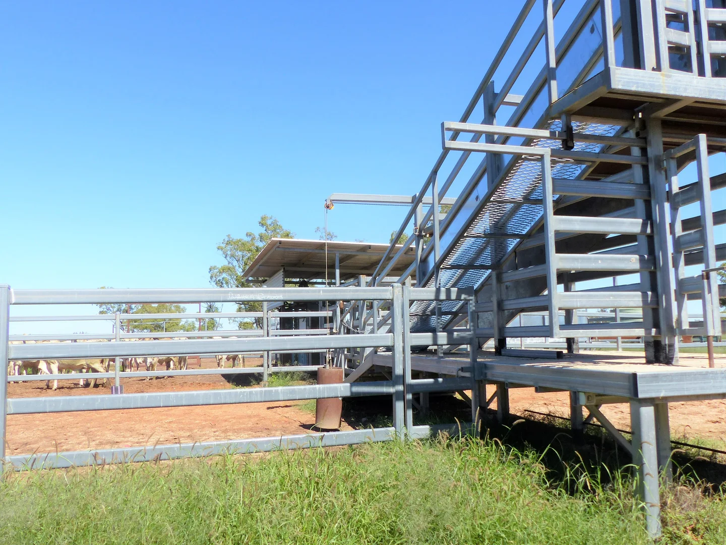 Additional image 25 of "Bonavista" 13724 Mitchell - St George road, Roma QLD 4455