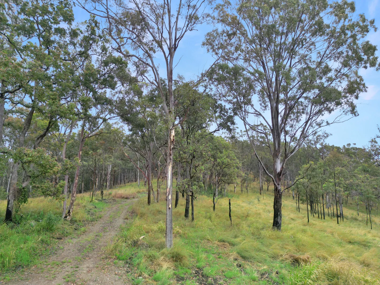 Additional image 7 of 524 Plains Station Road, Tabulam NSW 2469