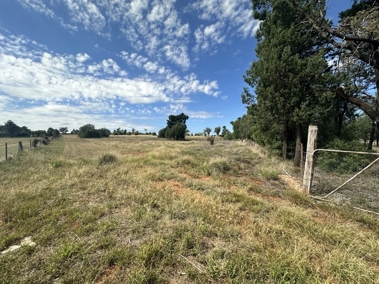 Additional image 4 of 48 Furners Lane, Trewilga NSW 2869