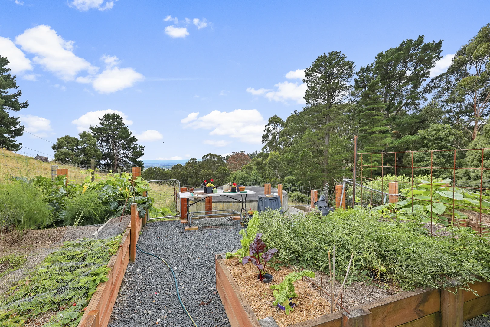 Additional image 19 of 244 Mirboo North-Trafalgar Road, Trafalgar South VIC 3824