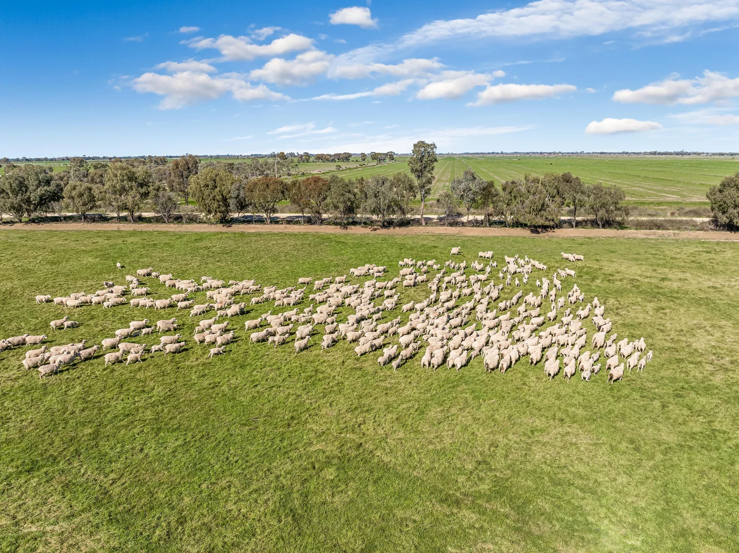 Additional image 21 of 198 Tragowel Road, Tragowel VIC 3579