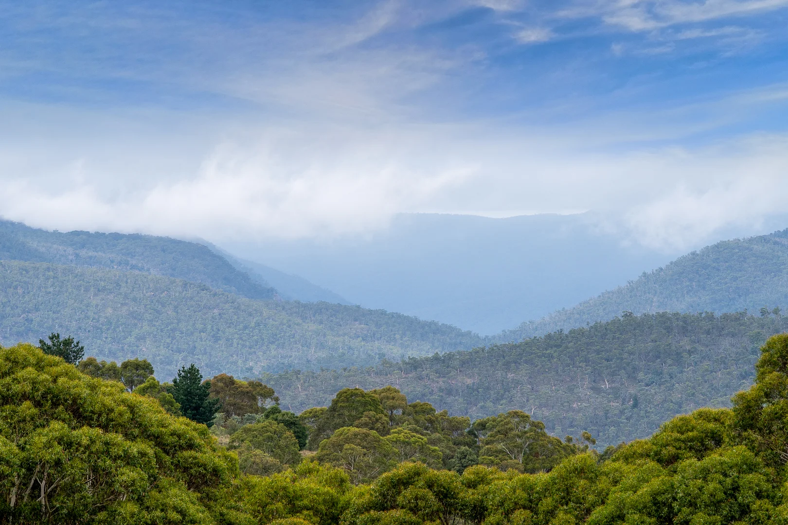 Additional image 3 of 251 Sheepstation Forest Road, Gingkin NSW 2787