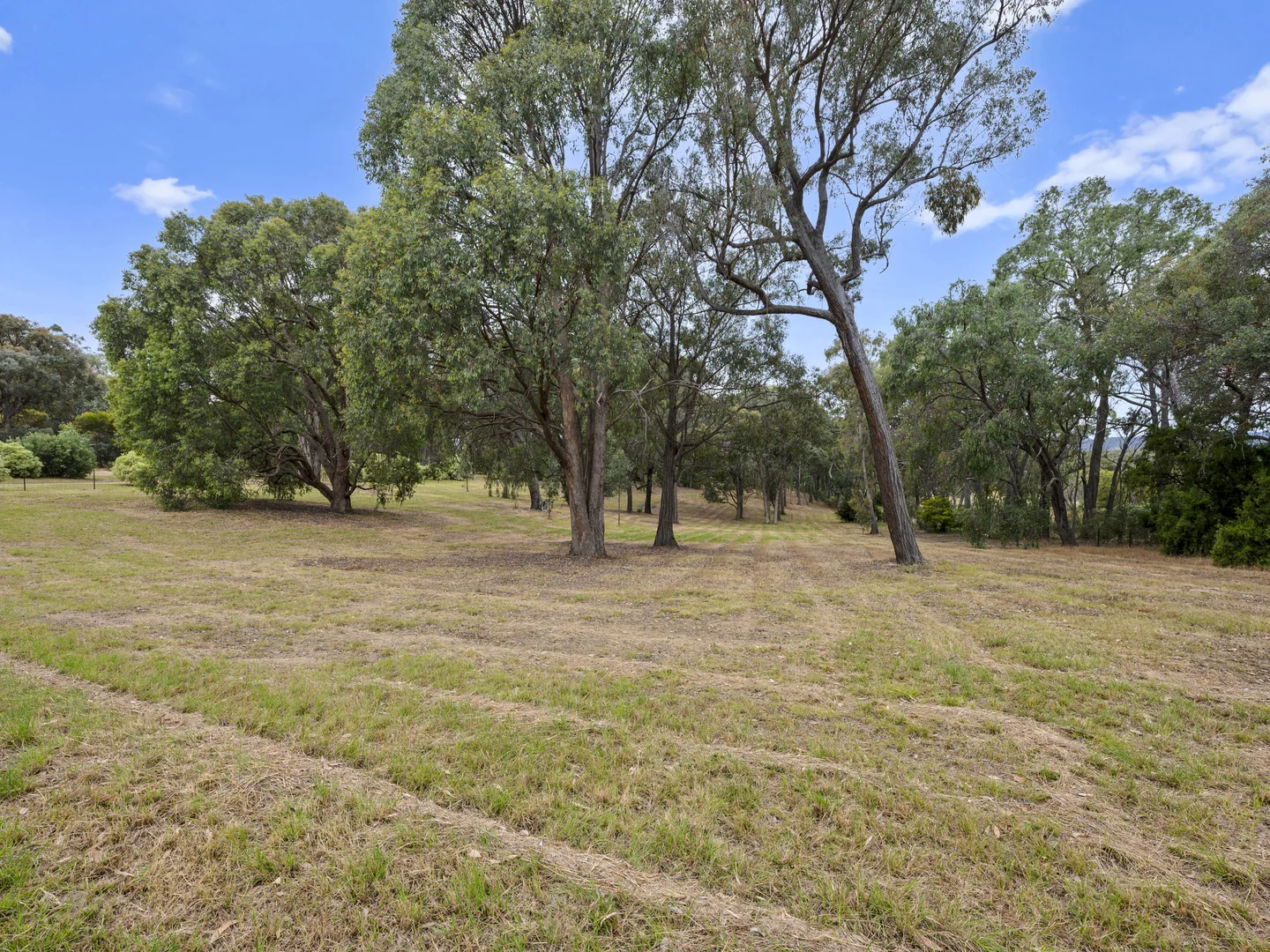 Additional image 15 of 203 Tulley Road, Lima East VIC 3673