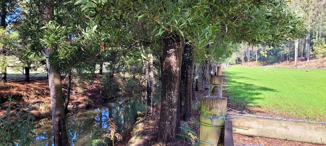 Additional image 2 of 229 Melrose Road, Aberdeen TAS 7310