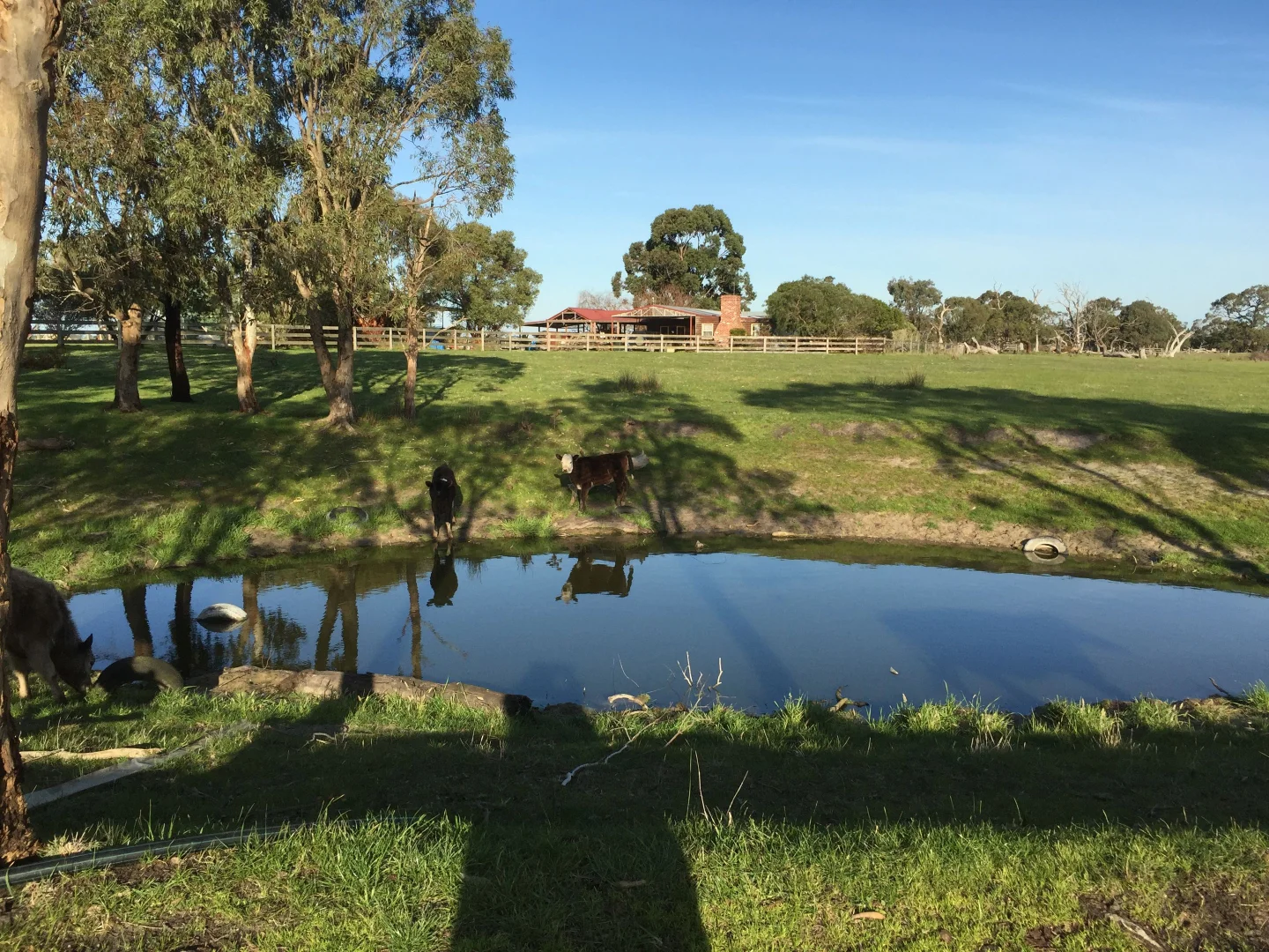 Additional image 3 of 111 CRAIGS LANE, Pearcedale VIC 3912