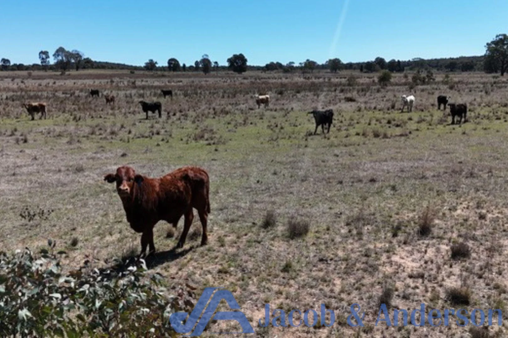 Additional image 20 of 188 Bullarook Road, Coolah NSW 2843