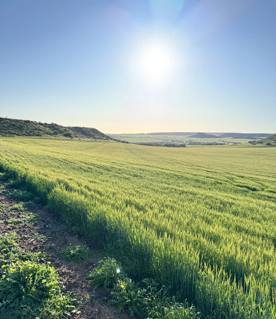 Additional image 2 of 9500 Chapman Valley Road, Narra Tarra WA 6532