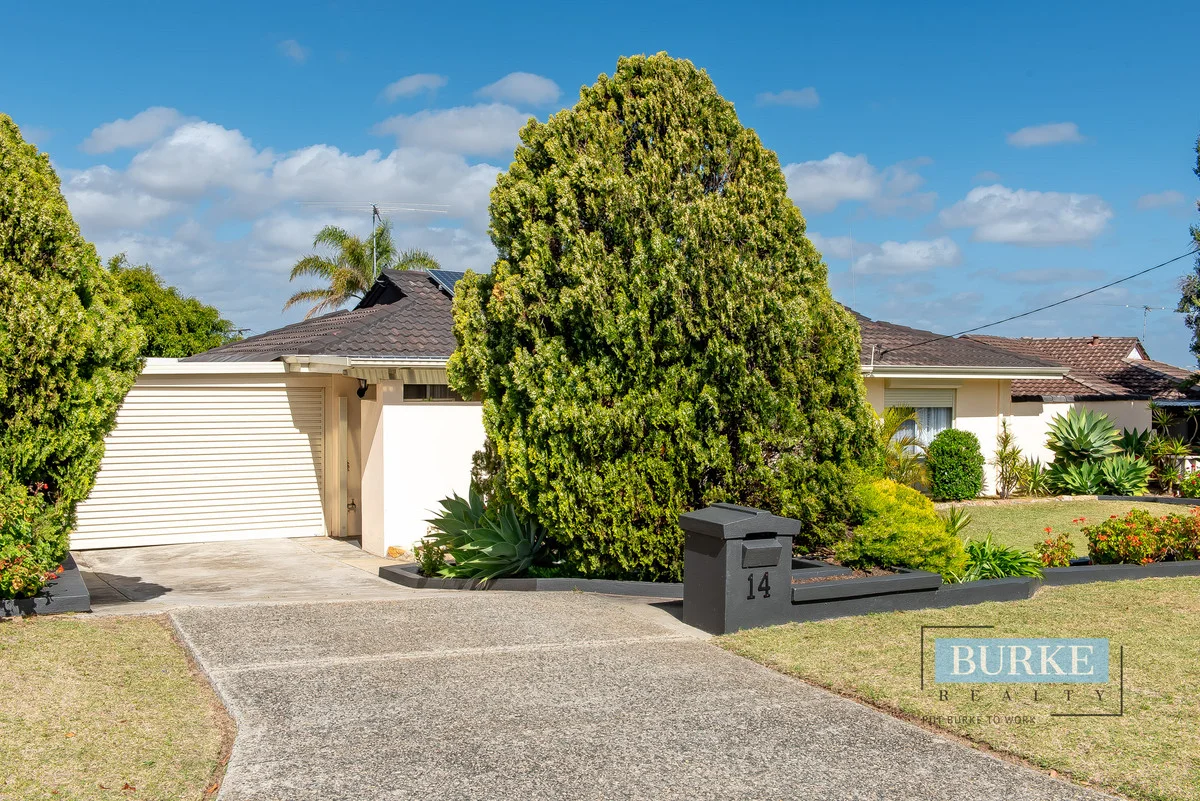 Additional image 9 of 14 Tremont Place, Craigie WA 6025