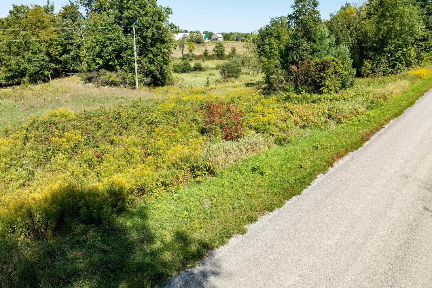 Additional image 10 of 268 Crozier Road