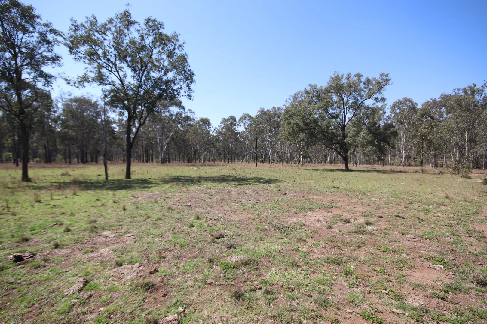 Additional image 9 of Lot D Mundubbera Durong Road, Brovinia QLD 4626