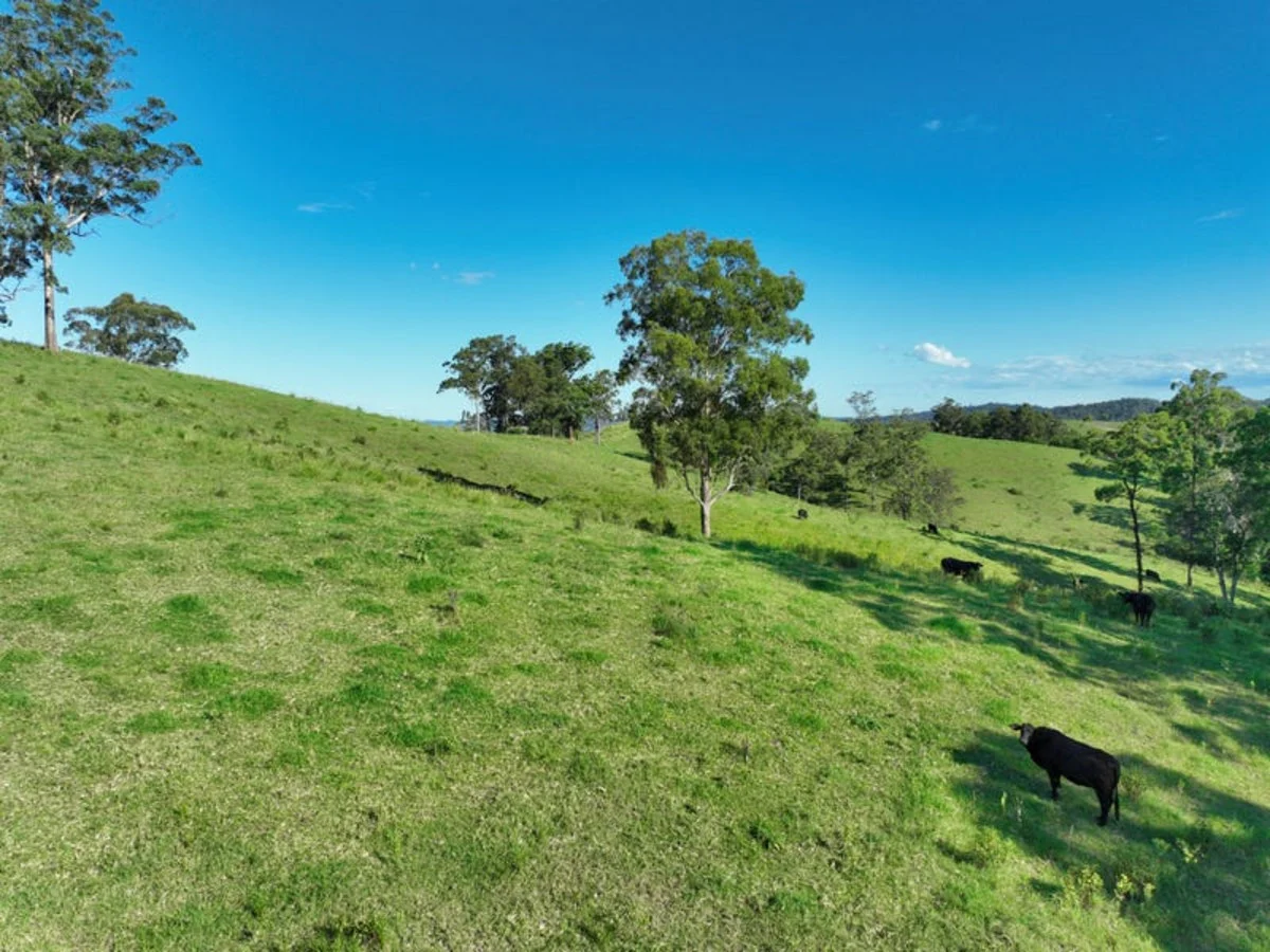 Additional image 14 of 59 Wyndham Road, Wyneden NSW 2474