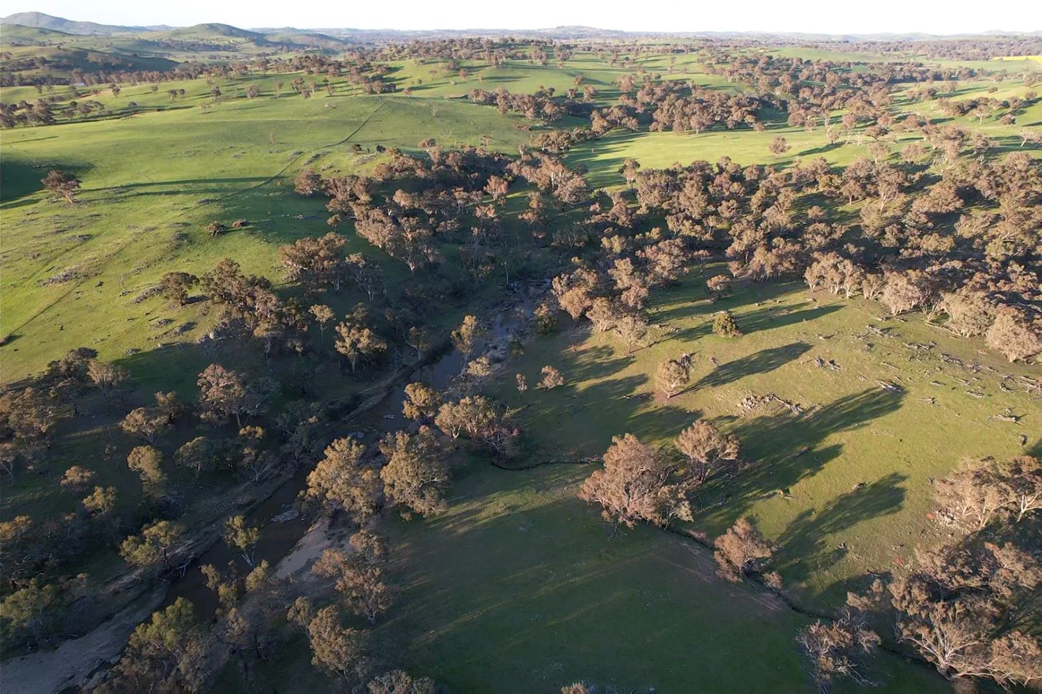 Additional image 5 of 0 Glengarry Road, Binalong NSW 2584