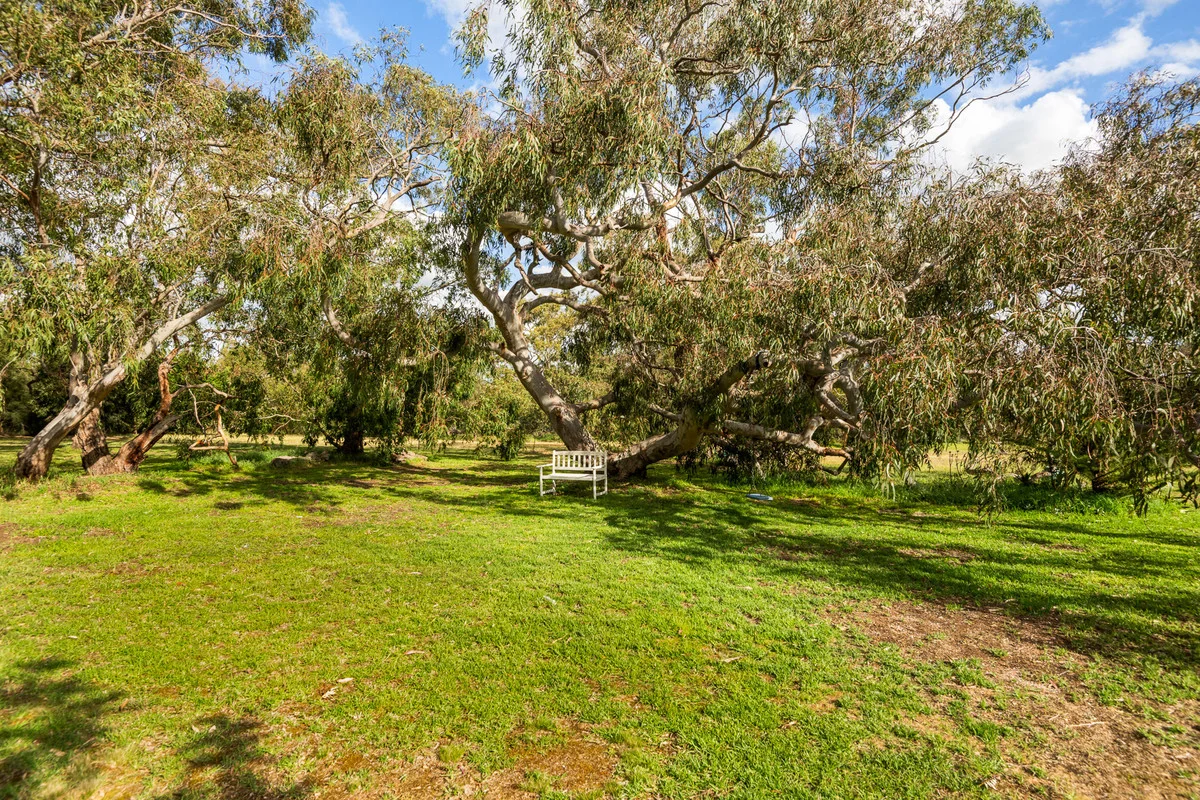 Additional image 23 of 26 Argyle Park Court, Inverleigh VIC 3321