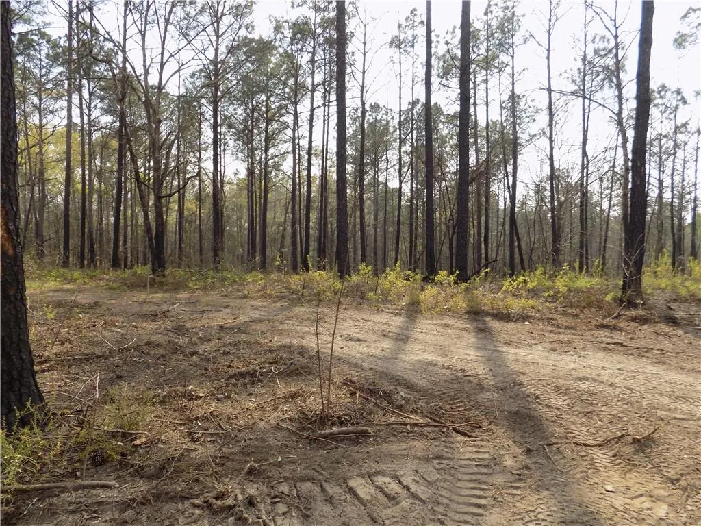 Additional image 16 of Lot 2 Macon County Road 24, Auburn, AL 36830
