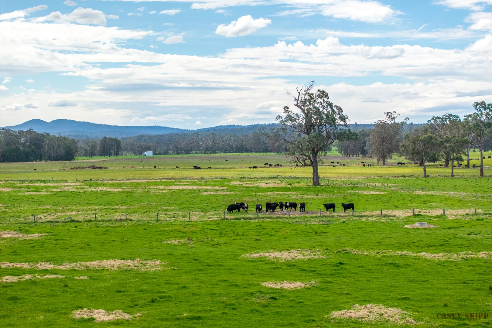 Additional image 18 of 366 Wairewa Road, Wairewa VIC 3887