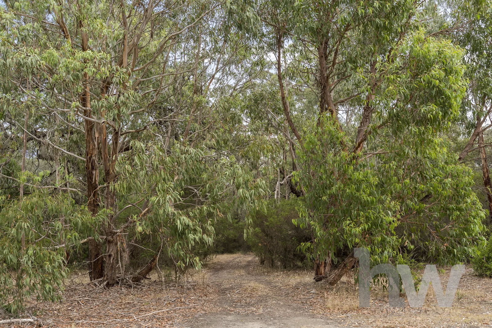 Additional image 14 of 470 Dangers Road, Gherang VIC 3240