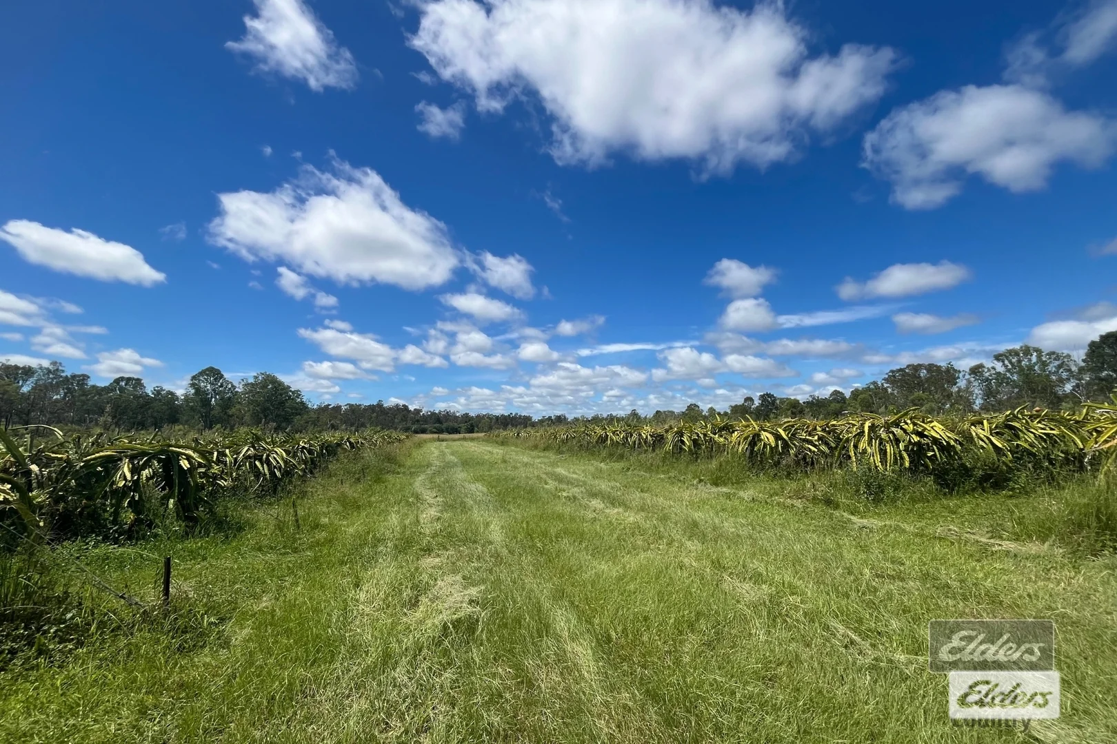 Additional image 3 of 288 Blowers Road, Munna Creek QLD 4570