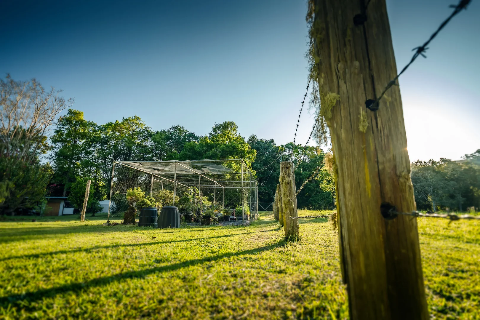 Additional image 13 of 1458 Darkwood Road, Bellingen NSW 2454