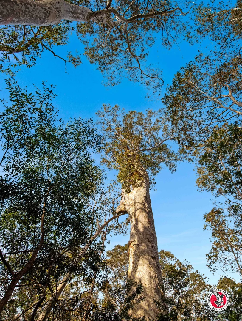 Additional image 35 of 60 Broulee Road, Broulee NSW 2537