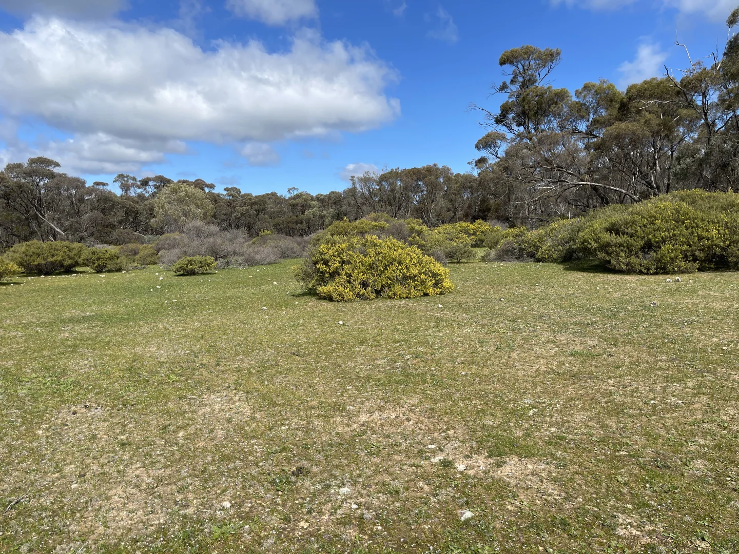 Additional image 6 of 6803 Calder Highway, Wedderburn VIC 3518