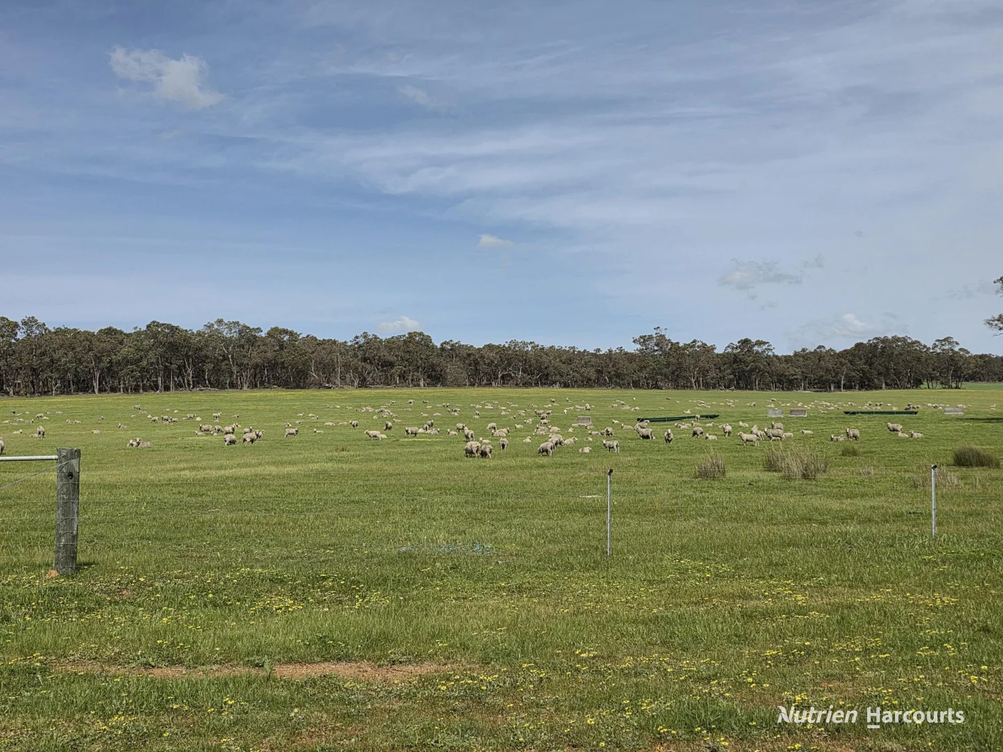 Additional image 53 of 4038 & 4184 Chesterpass Road, Takalarup WA 6324