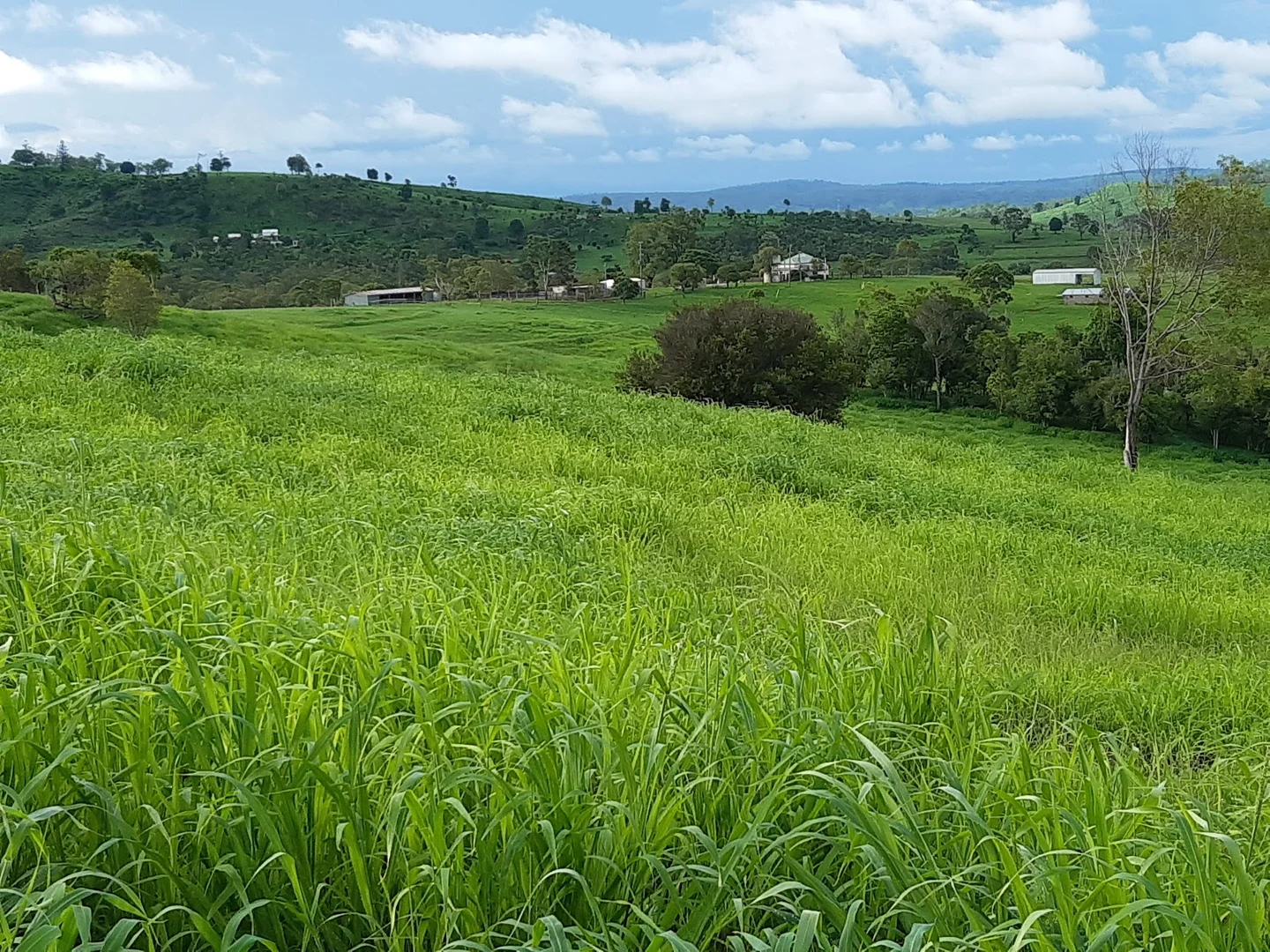 Additional image 7 of 59 Thornville Range Road, Thornville QLD 4352