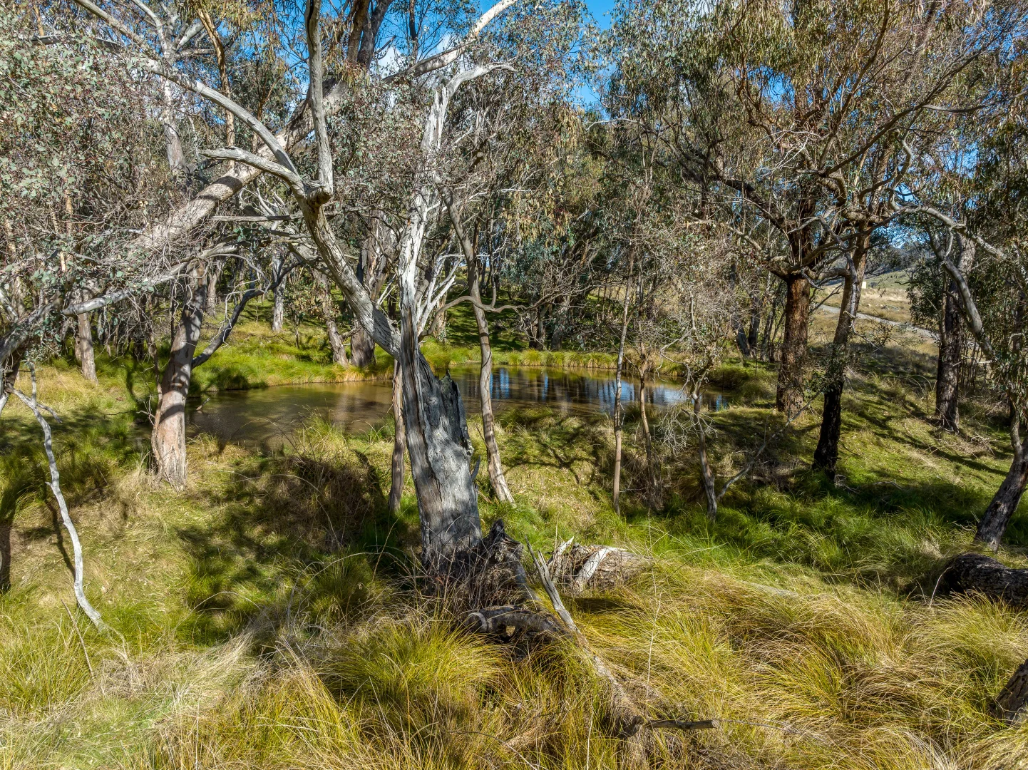 Additional image 8 of 2306 Bigga Road, Bigga NSW 2583