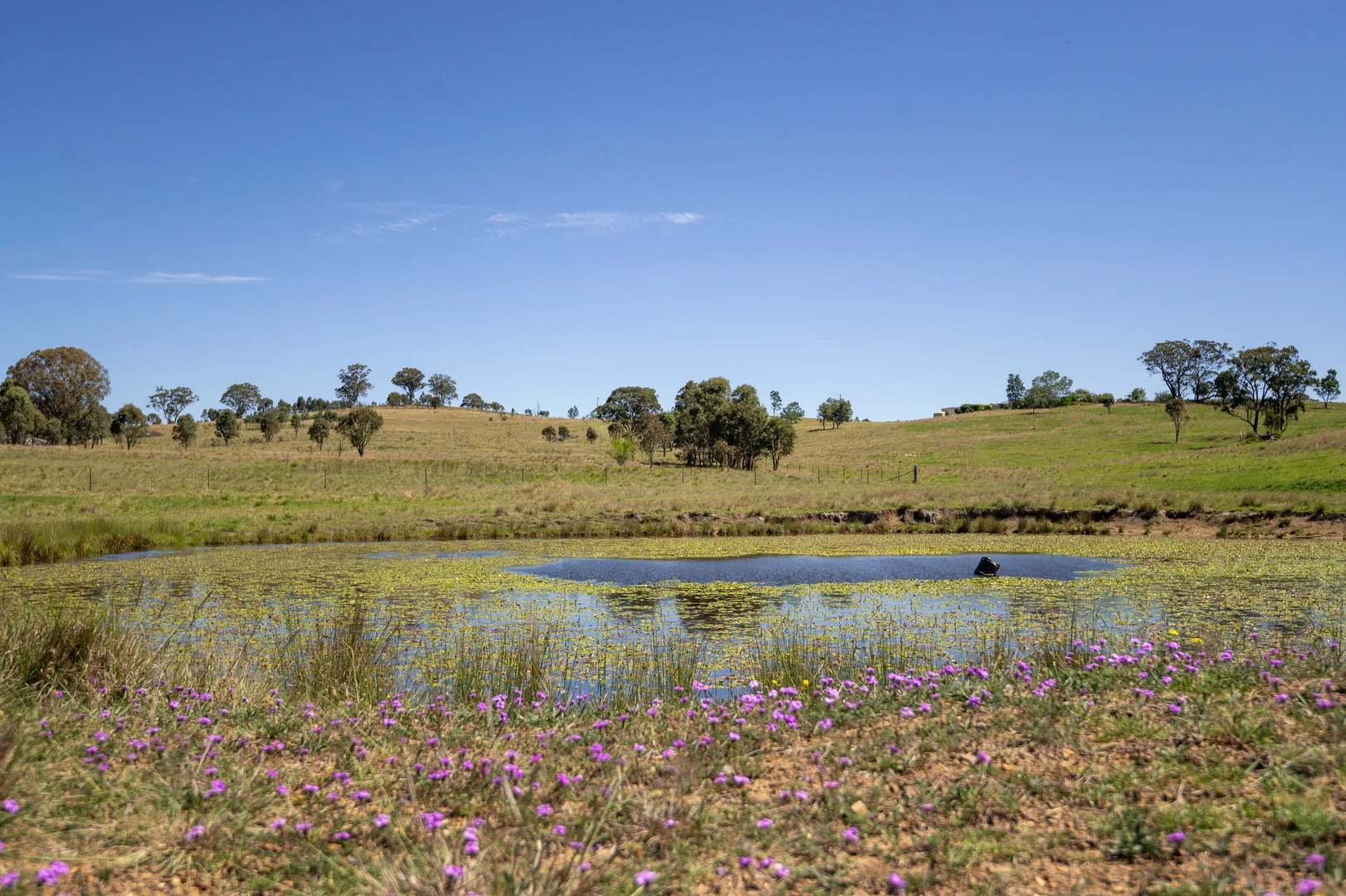 Additional image 7 of 4 Brown Road, Dalveen QLD 4374