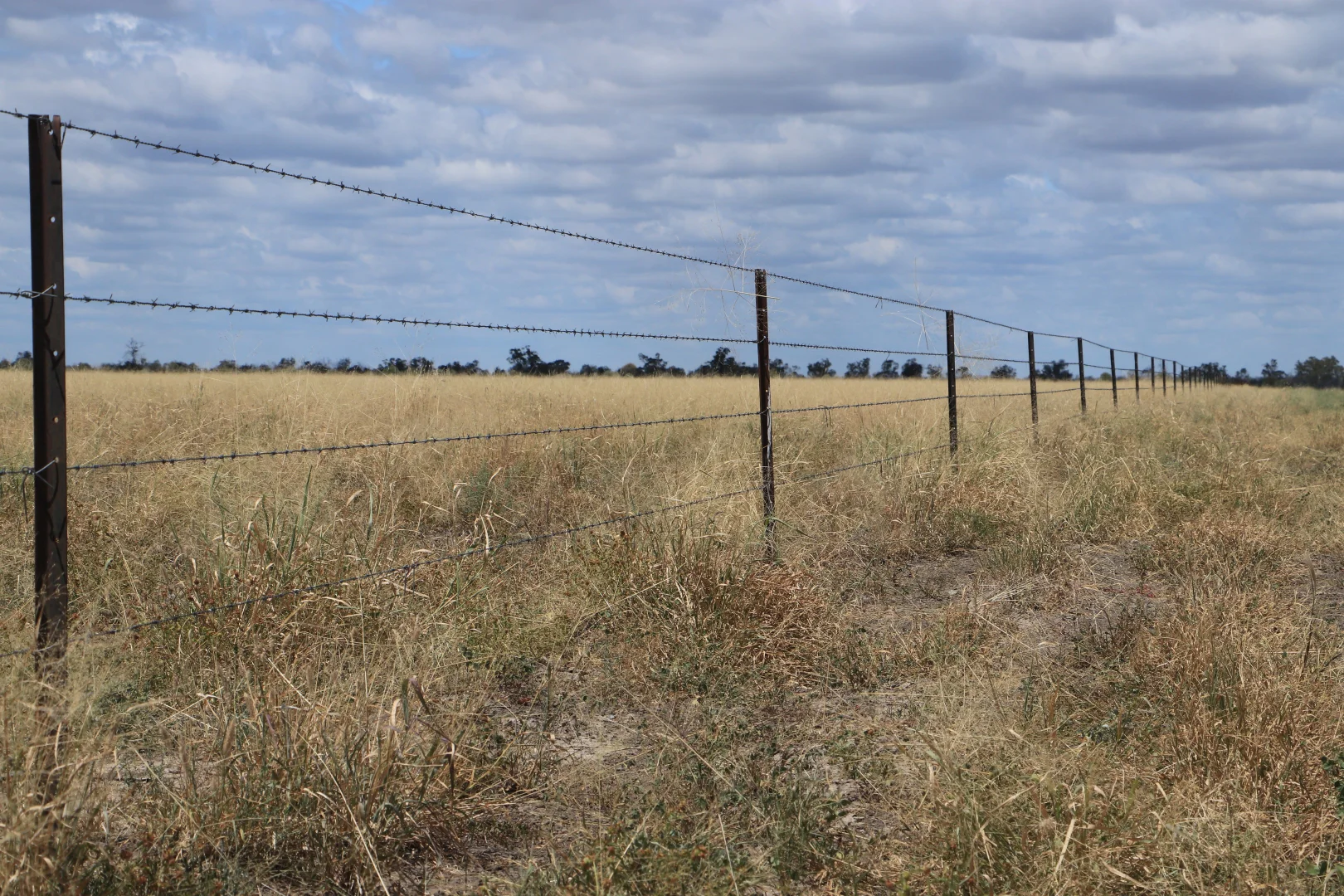 Additional image 19 of 13724 Mitchell - St George Rd, St George QLD 4487