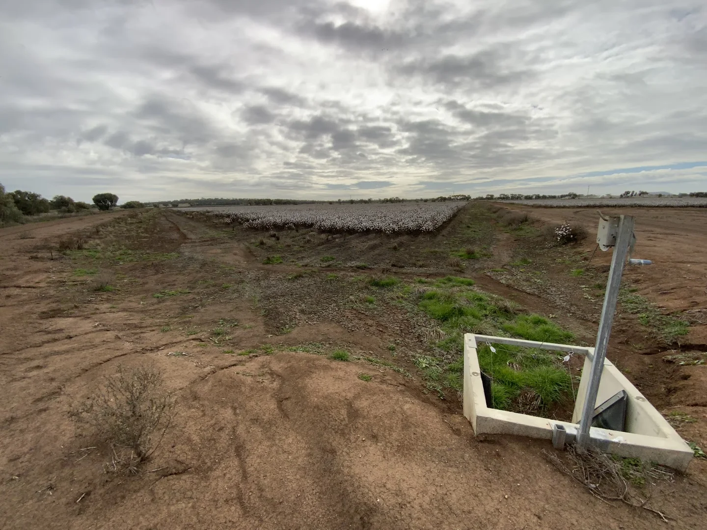 Additional image 17 of Part Farm 1082, 1386 Murrami Road, Leeton NSW 2705