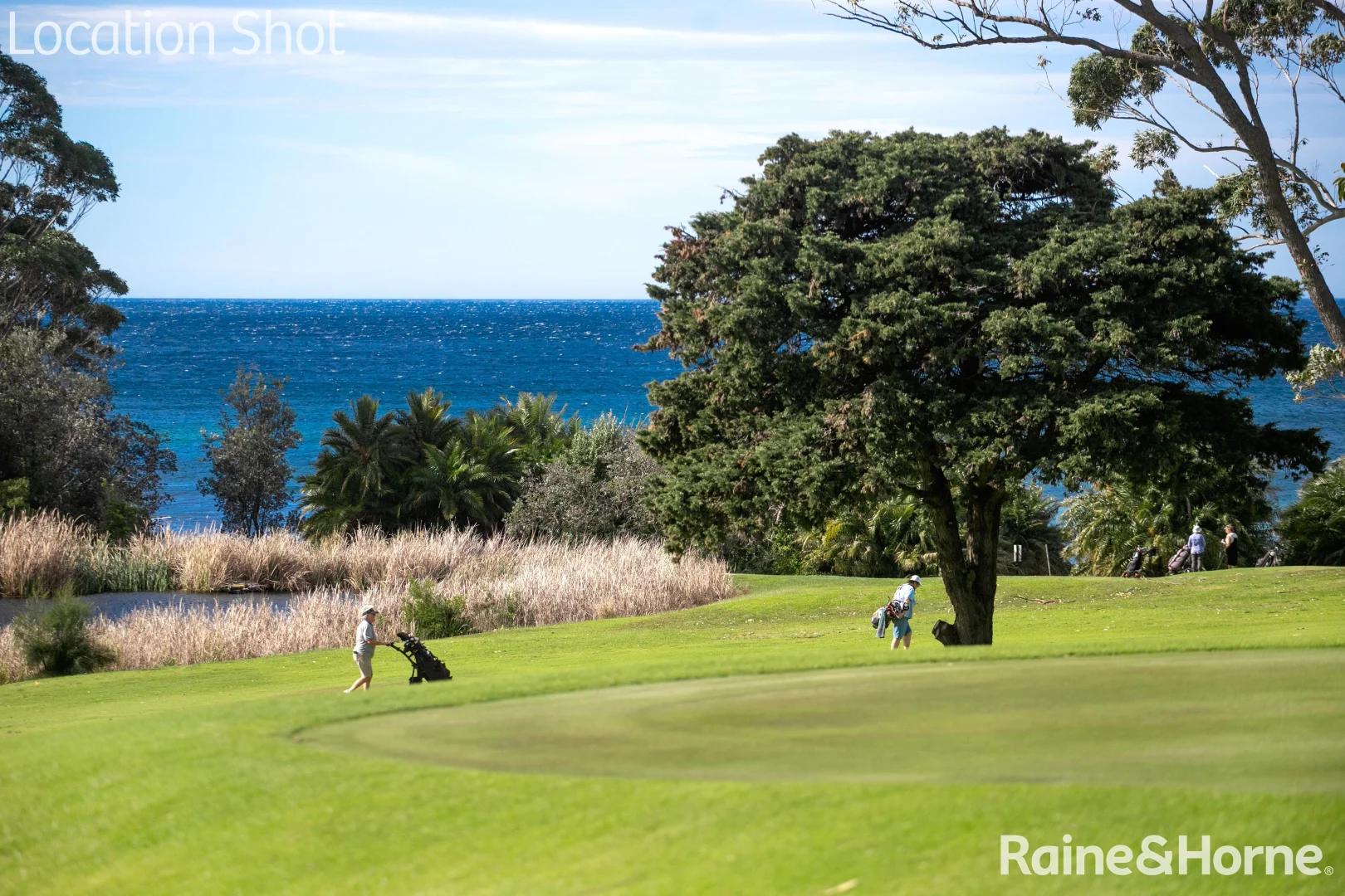 Additional image 16 of 11 Matron Porter Drive 'Ridgeway Mollymook', Mollymook Beach NSW 2539