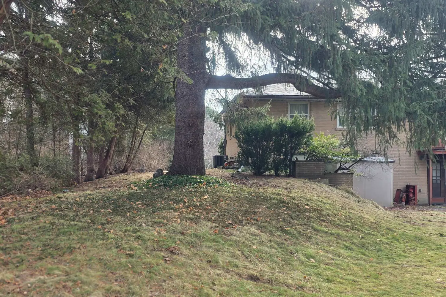 Additional image 6 of 541 Vanessa Drive