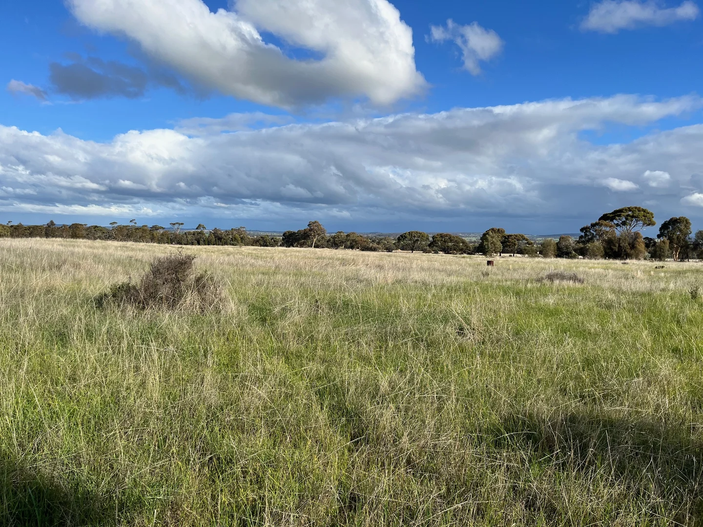 Additional image 4 of 4070 Quairading-York Road, Kauring WA 6302