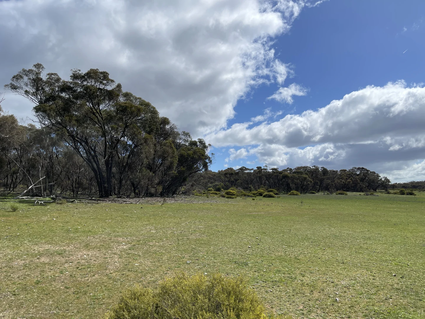 Additional image 2 of 6803 Calder Highway, Wedderburn VIC 3518