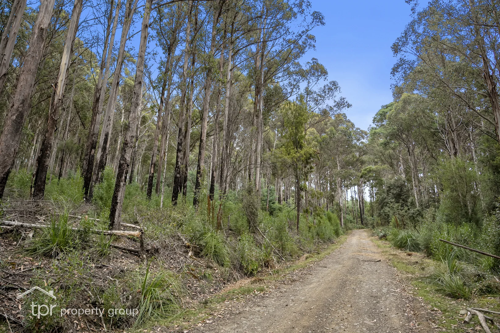 Additional image 3 of Lot 2 Kermandie River Road, Geeveston TAS 7116