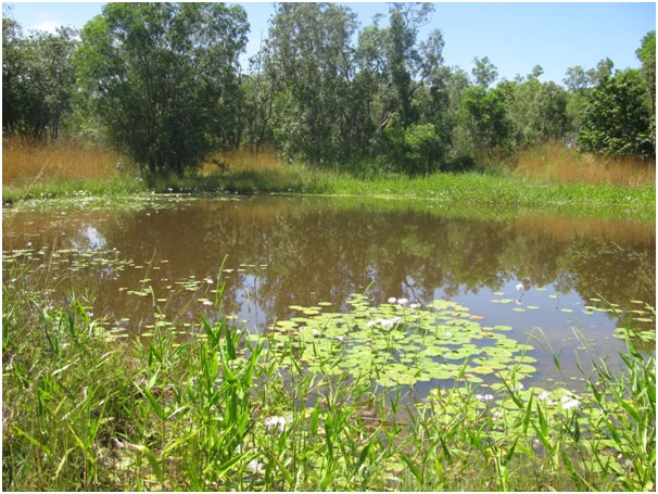 Acacia Hills NT 0822