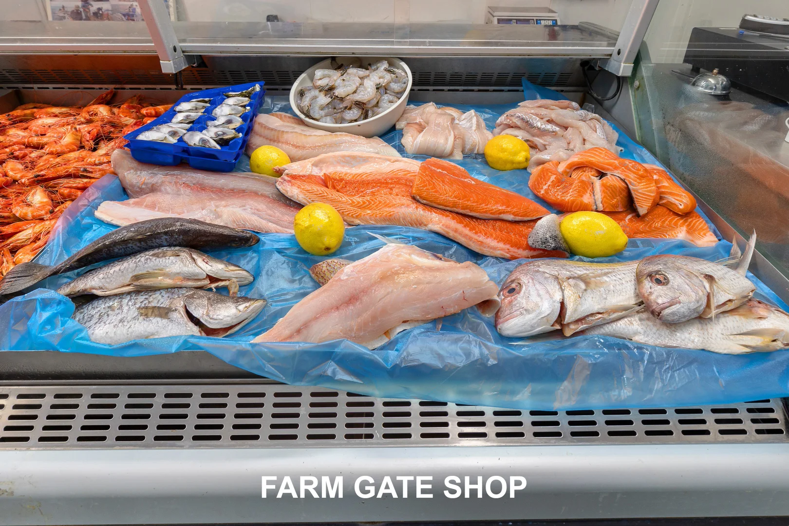 Additional image 38 of 151 Moorooduc Highway, Baxter VIC 3911