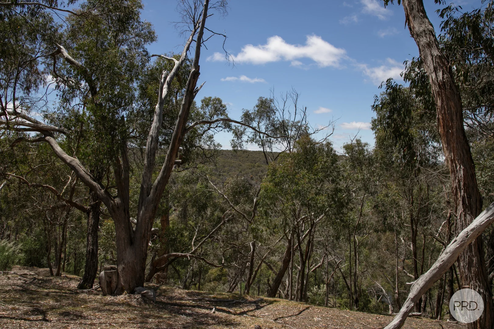 Additional image 11 of 456 Ferrers Road, Dereel VIC 3352