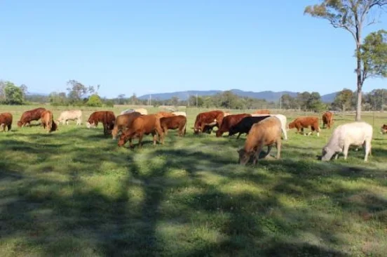 Additional image 3 of Woodford QLD 4514