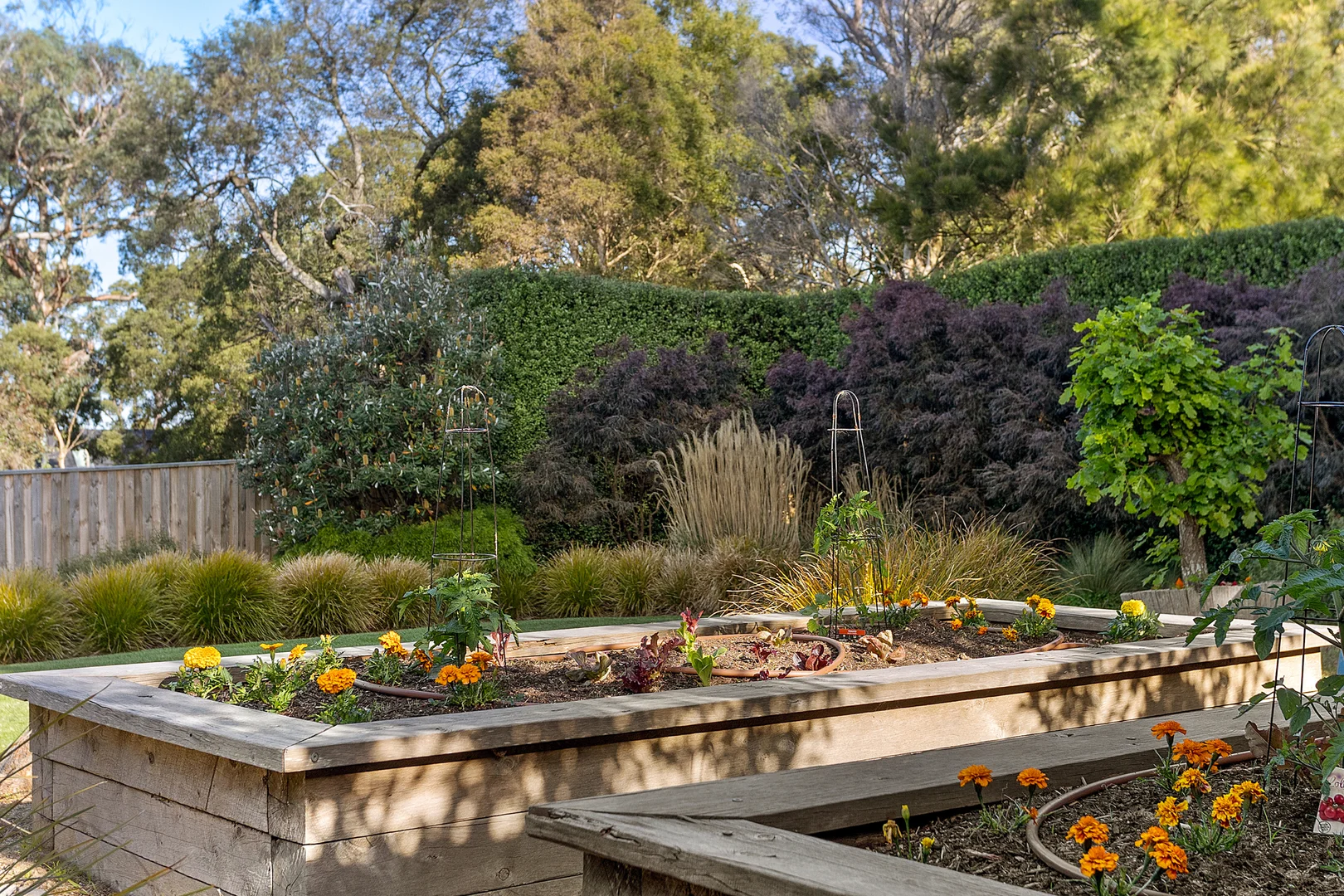 Additional image 17 of 771 Arthurs Seat Road, Arthurs Seat VIC 3936