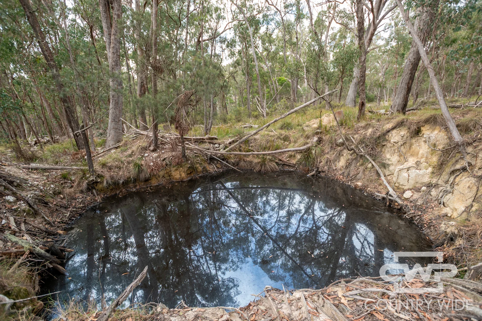 Additional image 8 of 10 Tablelands Road, Red Range NSW 2370