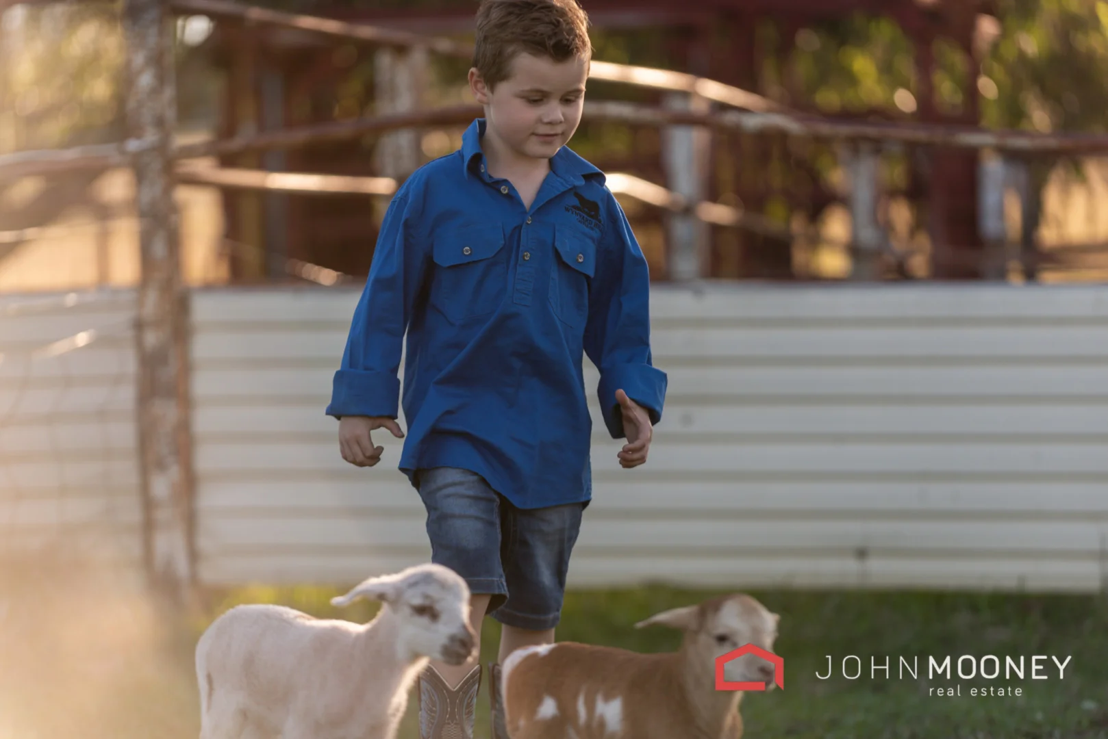 Additional image 7 of Wynyard Hill Estate, Springvale NSW 2650