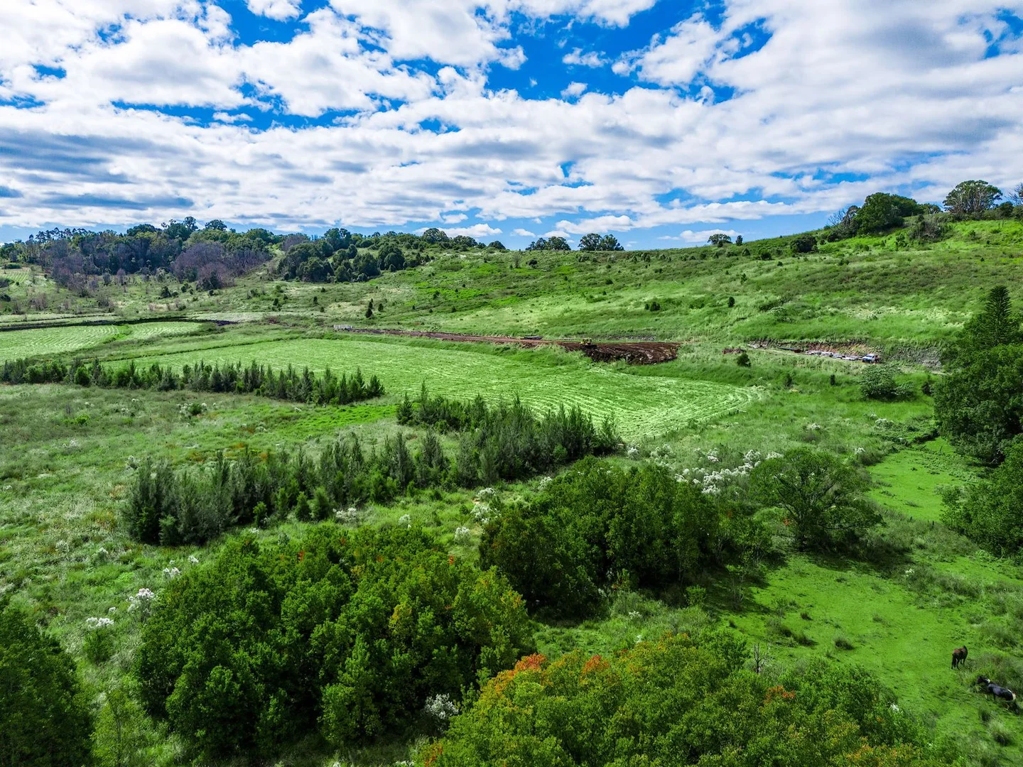 Additional image 8 of BELFORD ESTATE/41 North Street, Bexhill NSW 2480