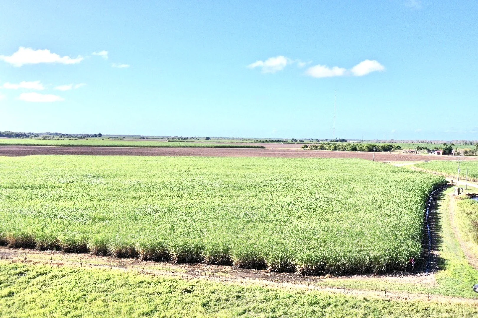 Additional image 20 of 67 Hillier Road, Brandon QLD 4808