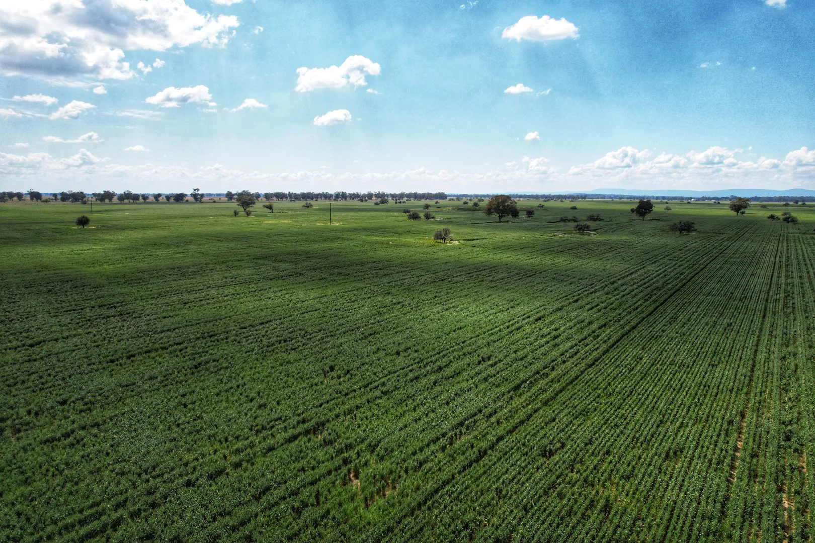 Additional image 4 of Part Rosewood Taweni Road, Peak Hill NSW 2869