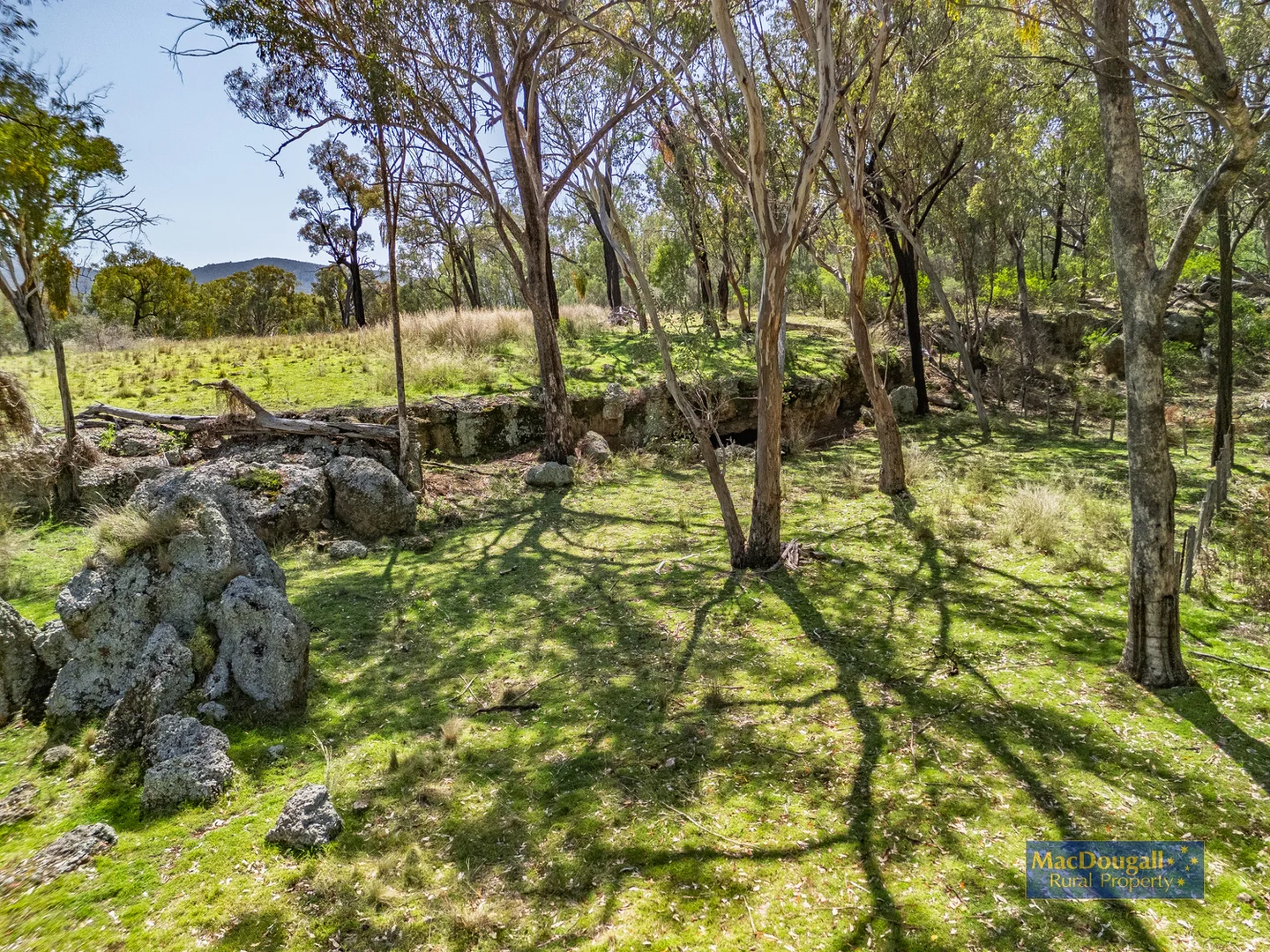 Additional image 23 of 384 Dry Creek Road, Georges Creek NSW 2365